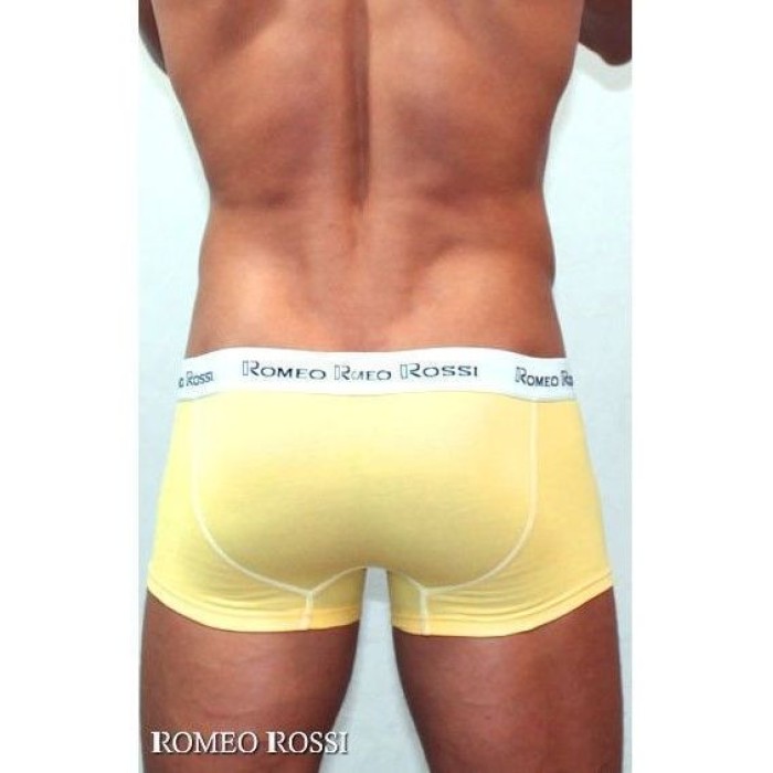 Мужские трусы боксеры желтые Romeo Rossi RR365-13 Boxer Brief