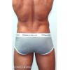 НЕ ТРОГАТЬ !!! ДУБЛЬ ID 44436 Мужские трусы брифы серые Romeo Rossi RR366-3 Brief (XXXXL)