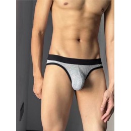 Мужские трусы брифы серые Romeo Rossi RR2081-3